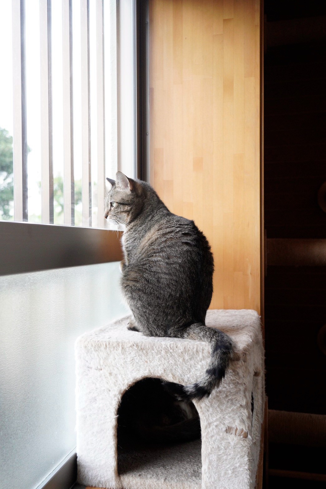 【 Hanare 】 写真 4